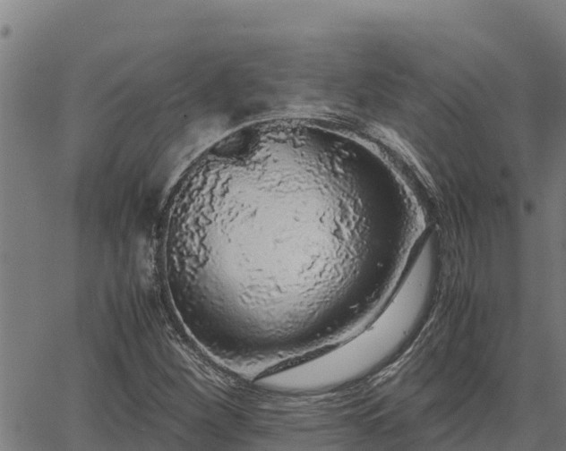 X0000067001260200603311605