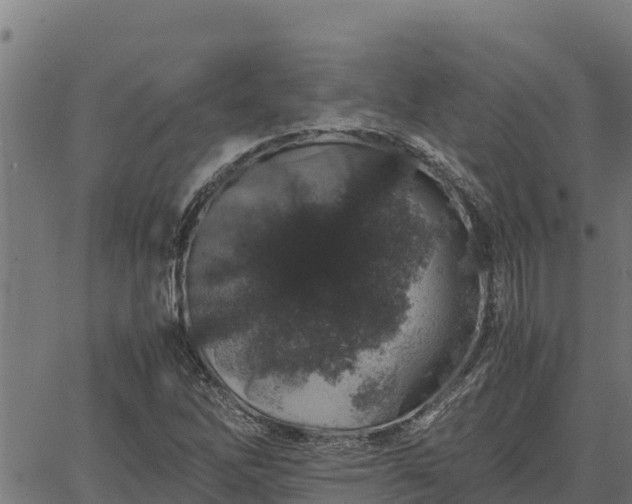 X0000067001262200603311605