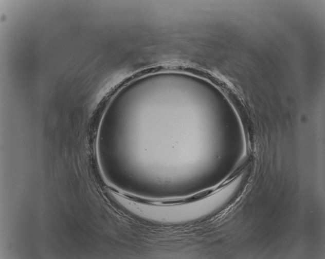 X0000067001263200603311605