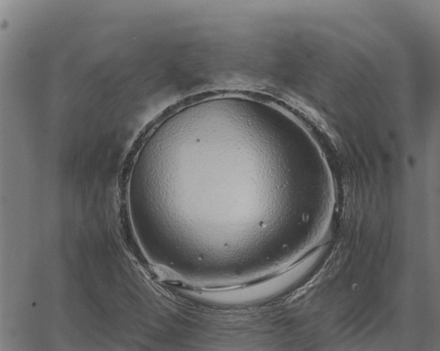 X0000067001264200603311605