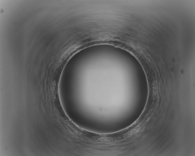 X0000067001265200603311605