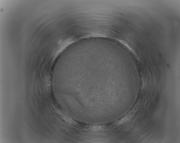 X0000067001266200603311605