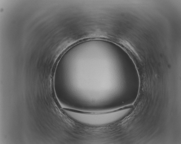 X0000067001268200603311605