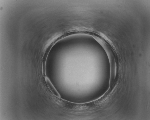 X0000067001269200603311605