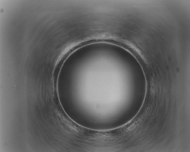 X0000067001270200603311605