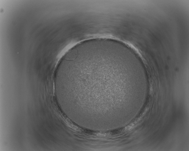 X0000067001271200603311605