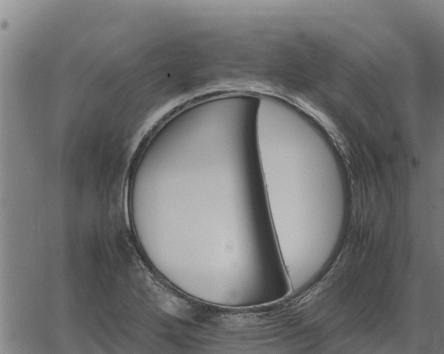 X0000067001272200603311605