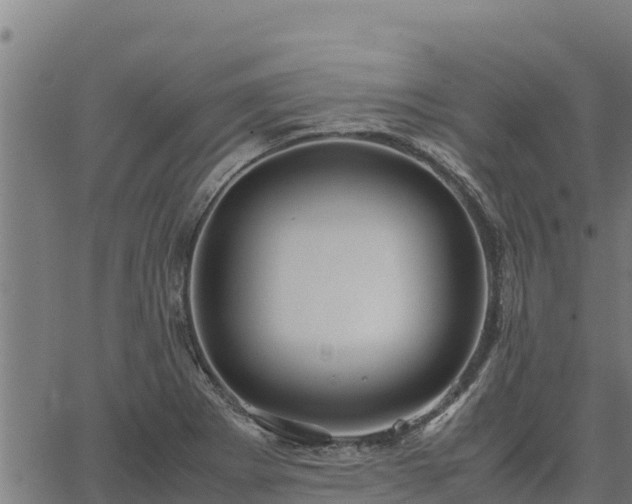 X0000067001273200603311605