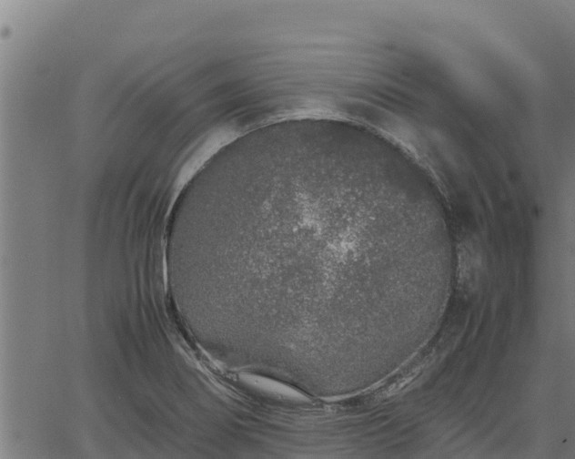 X0000067001274200603311605