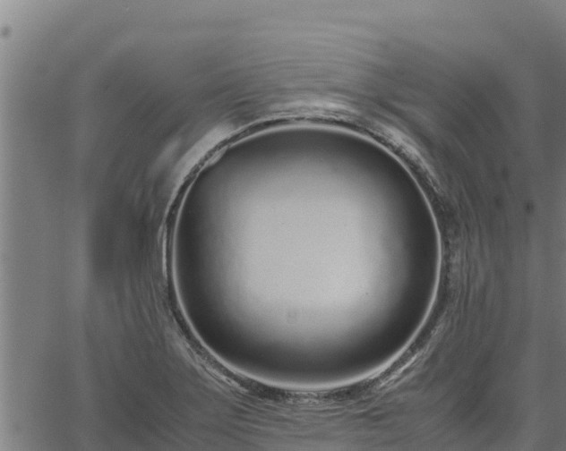 X0000067001275200603311605