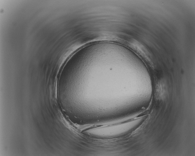 X0000067001276200603311605