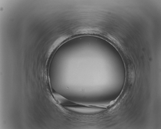 X0000067001277200603311605