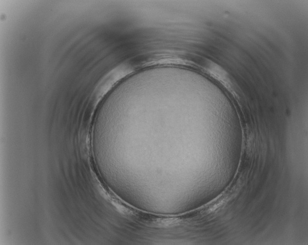 X0000067001282200603311605