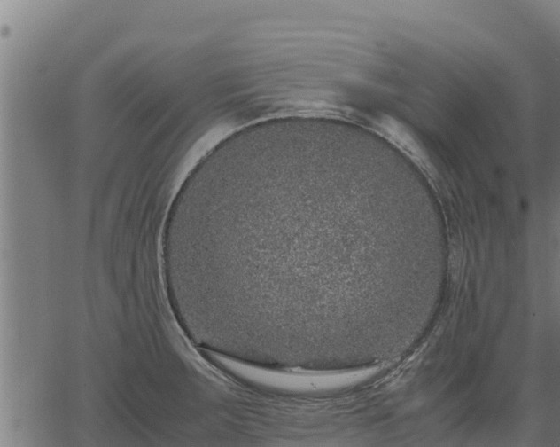 X0000067001283200603311605