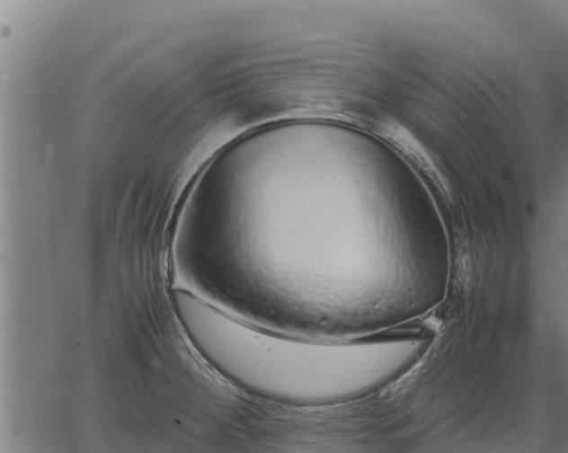 X0000067001284200603311605