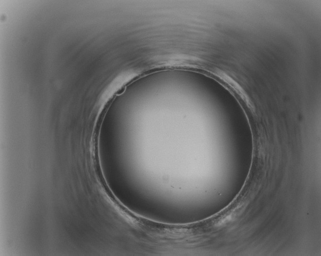 X0000067001285200603311605