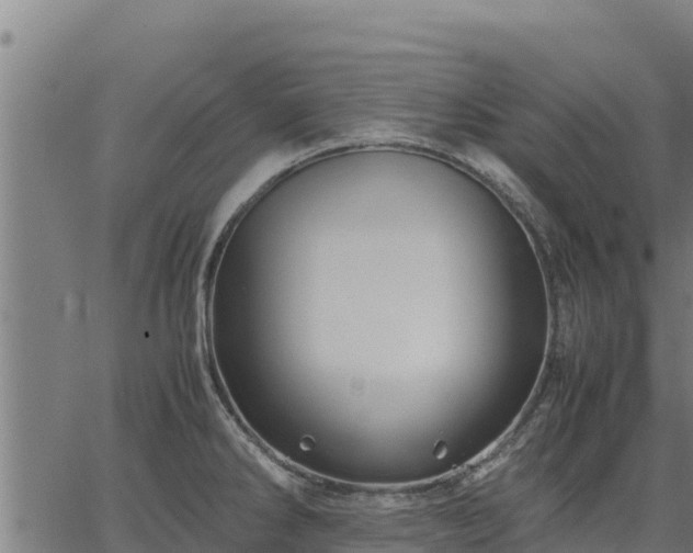 X0000067001286200603311605