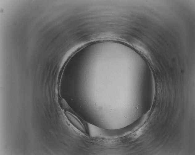 X0000067001288200603311605