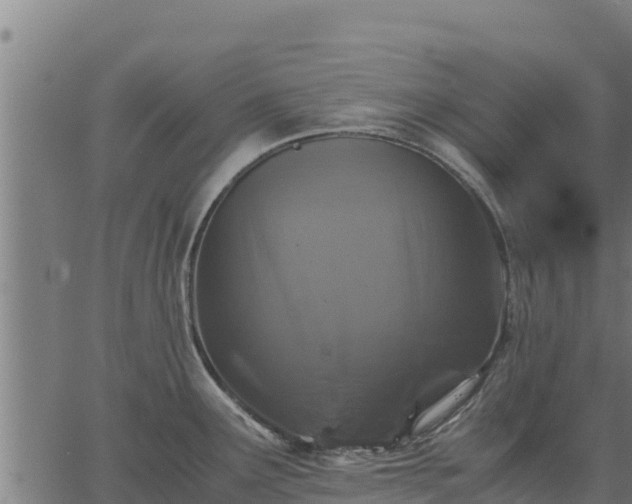 X0000067001291200603311605