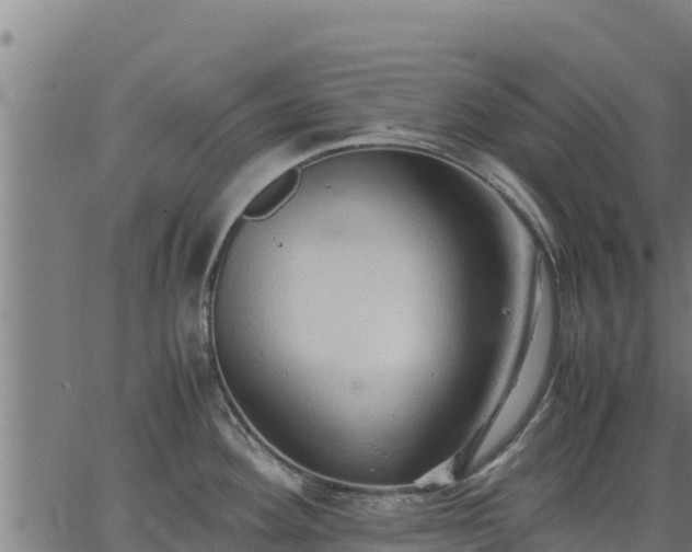 X0000067001292200603311605