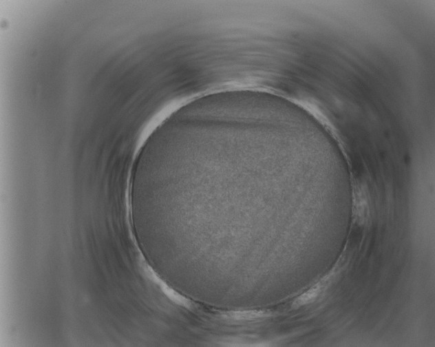 X0000067001294200603311605