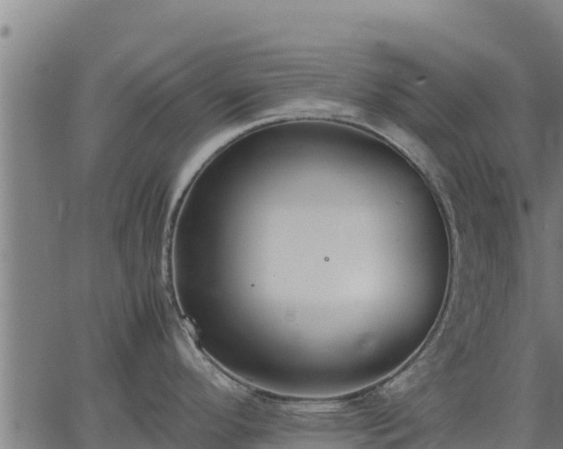 X0000067001296200603311605