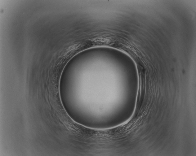 X0000067001297200603311604