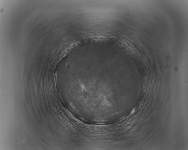 X0000067001298200603311604