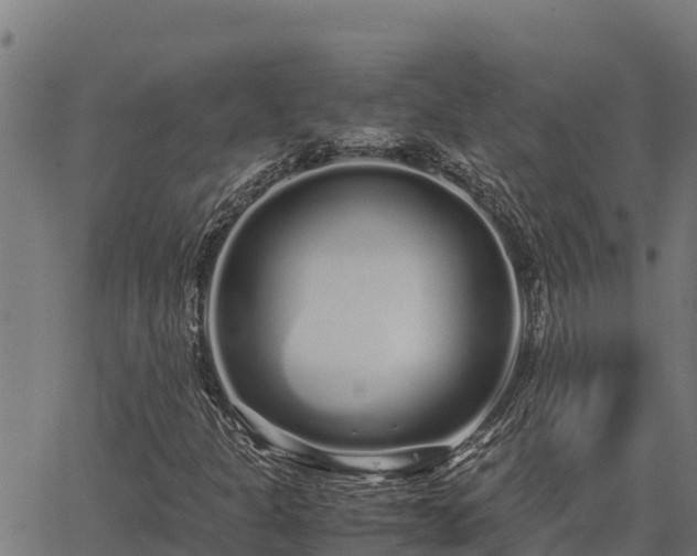 X0000067001301200603311604