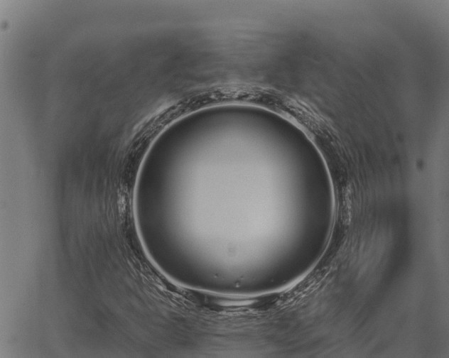 X0000067001302200603311604