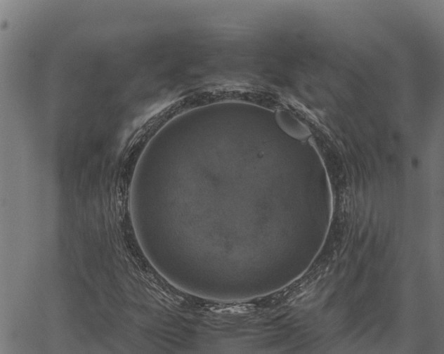 X0000067001303200603311604