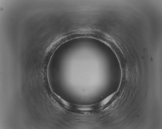 X0000067001304200603311604