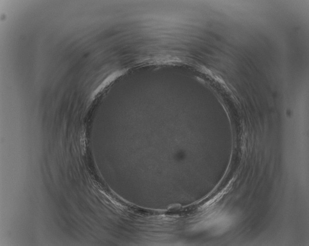 X0000067001306200603311604