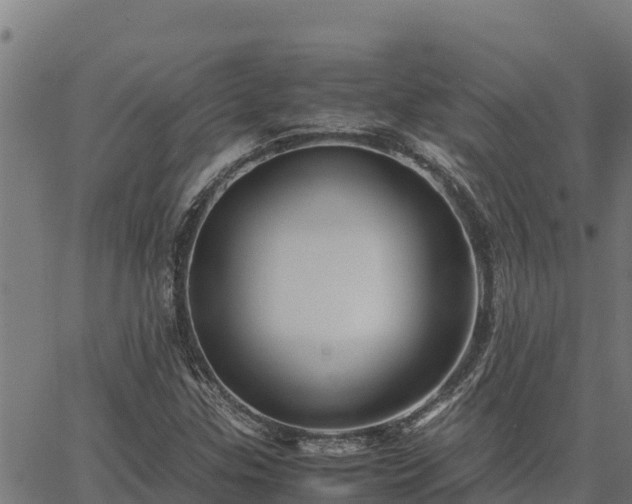 X0000067001307200603311604