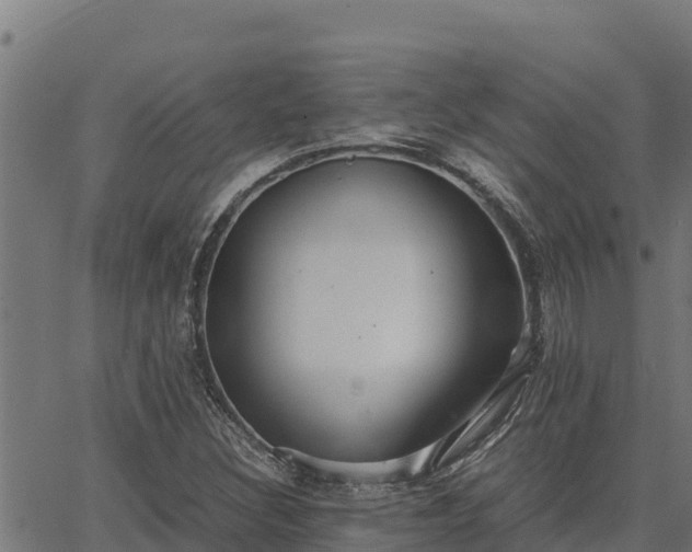 X0000067001308200603311604