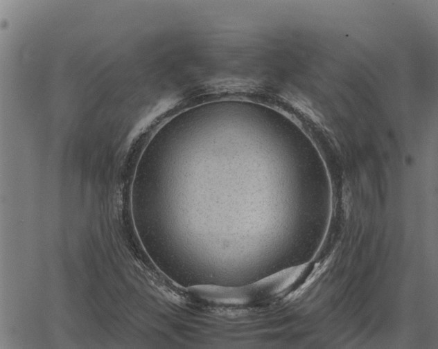 X0000067001309200603311604