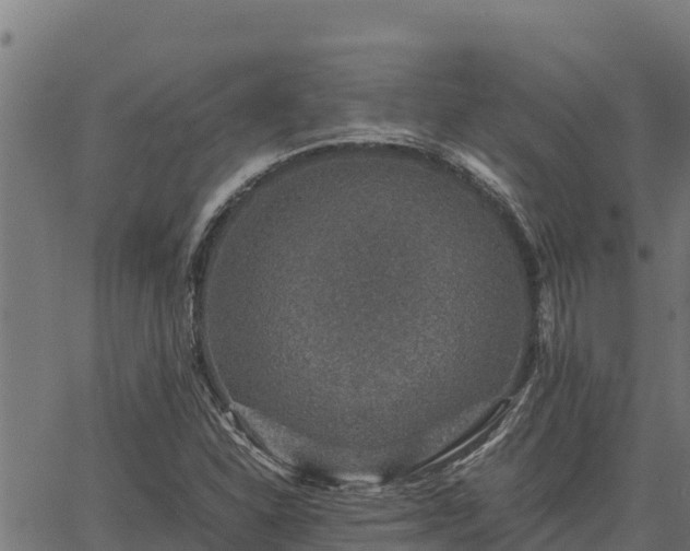 X0000067001310200603311604