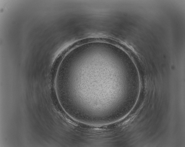 X0000067001311200603311604