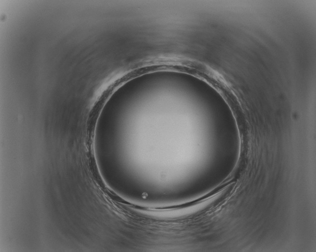 X0000067001312200603311604