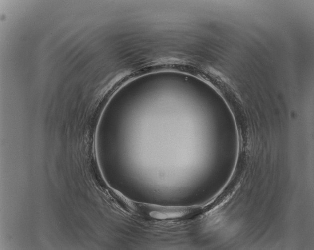 X0000067001313200603311604