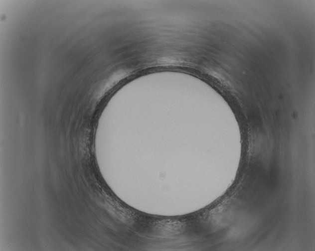 X0000067001314200603311604