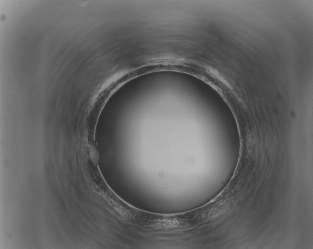 X0000067001315200603311604