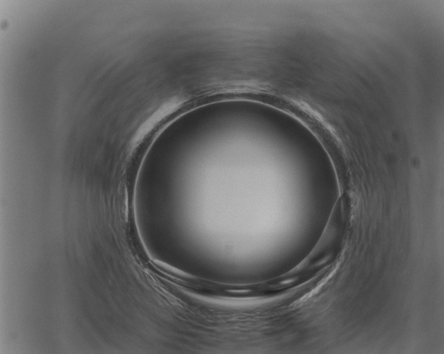 X0000067001317200603311604