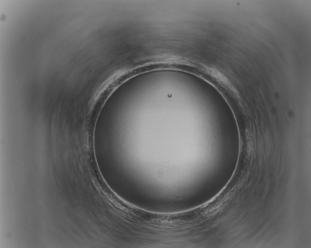 X0000067001318200603311604