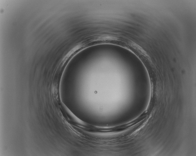 X0000067001321200603311604