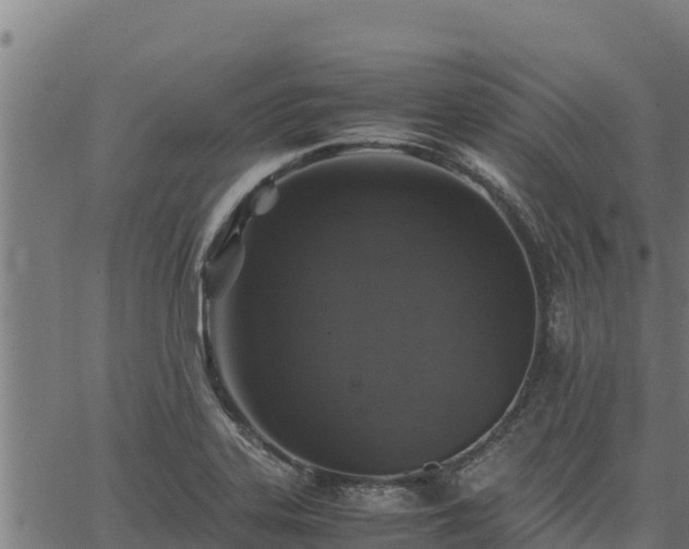 X0000067001323200603311604