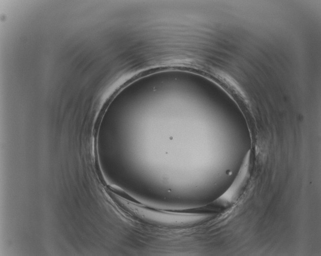 X0000067001324200603311604