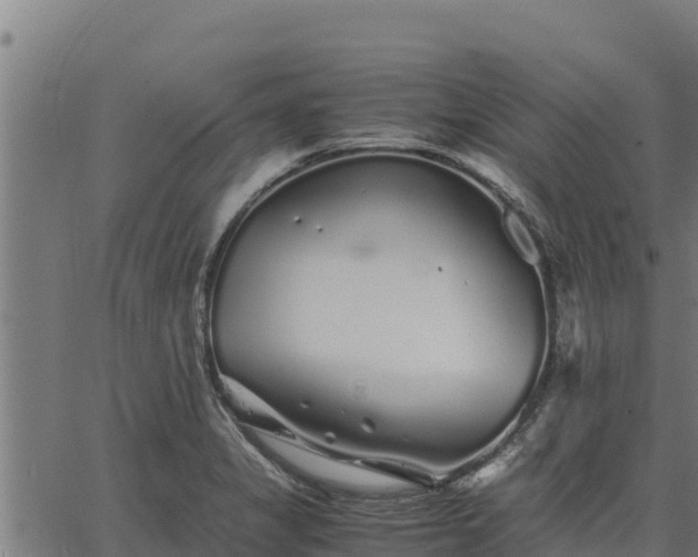 X0000067001325200603311604