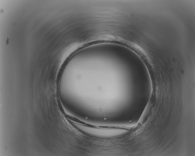 X0000067001326200603311604