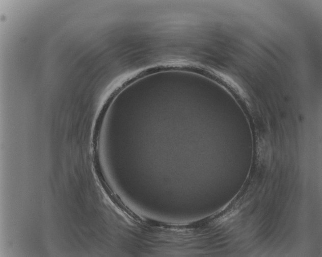 X0000067001327200603311604